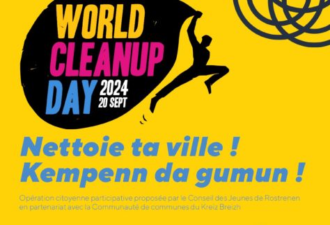 Affiche World Cleanup day